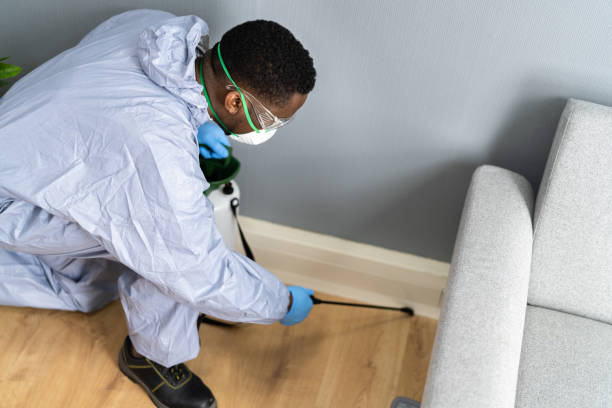 Best Termite Inspection and Treatment  in Muskegon, MI